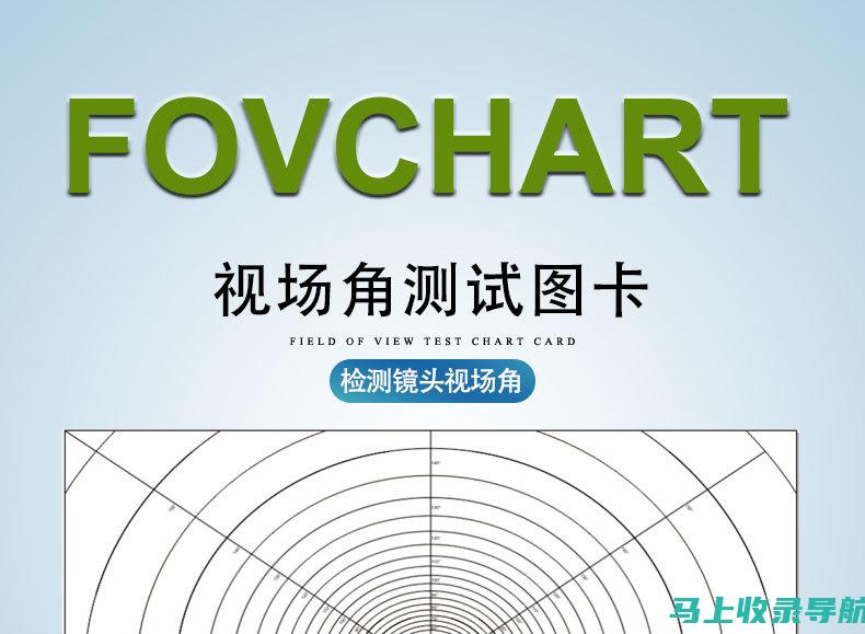 专业视角解析SEO查询工具的应用策略与技巧